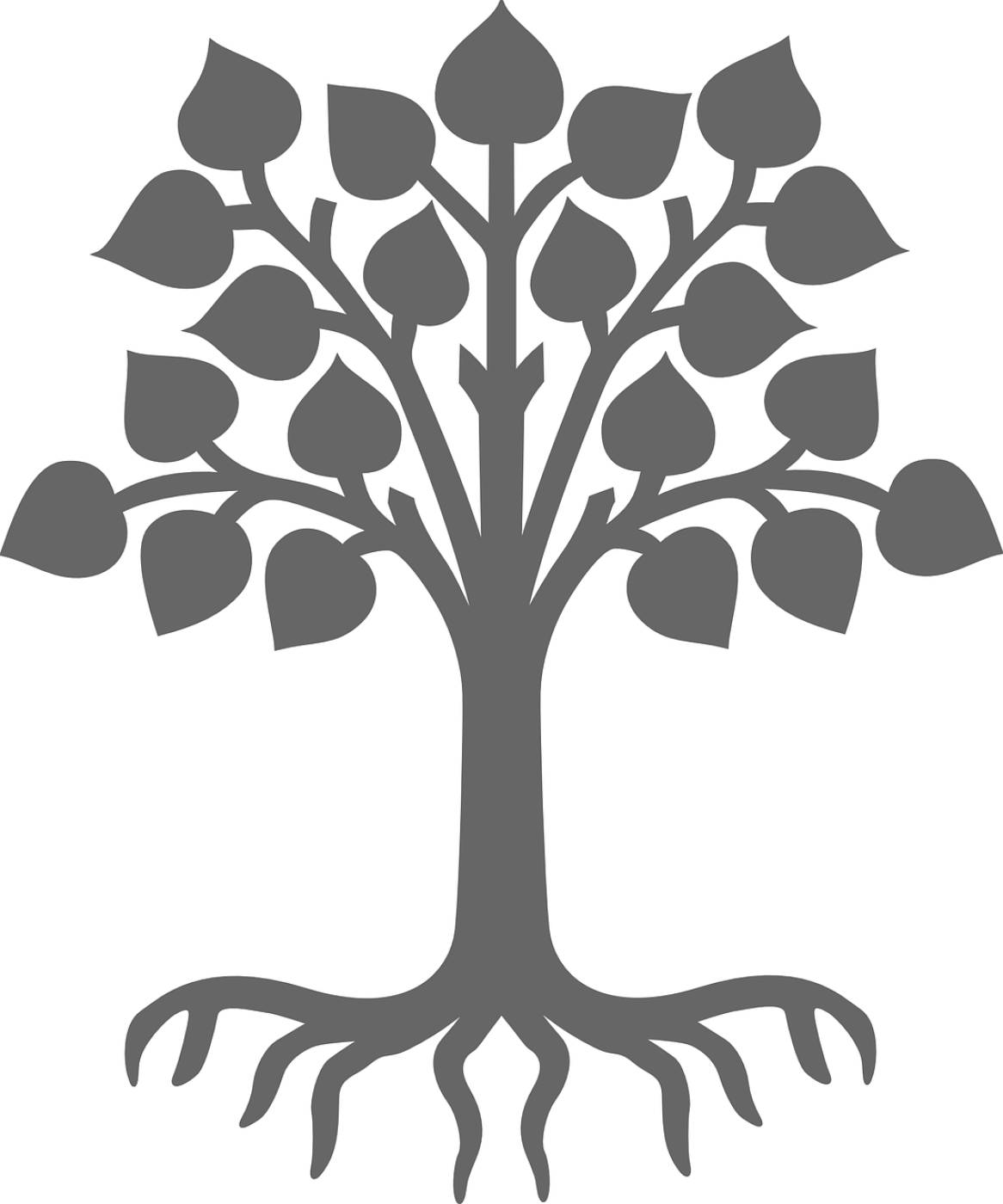 plant silhouette grey tree leaves  svg vector