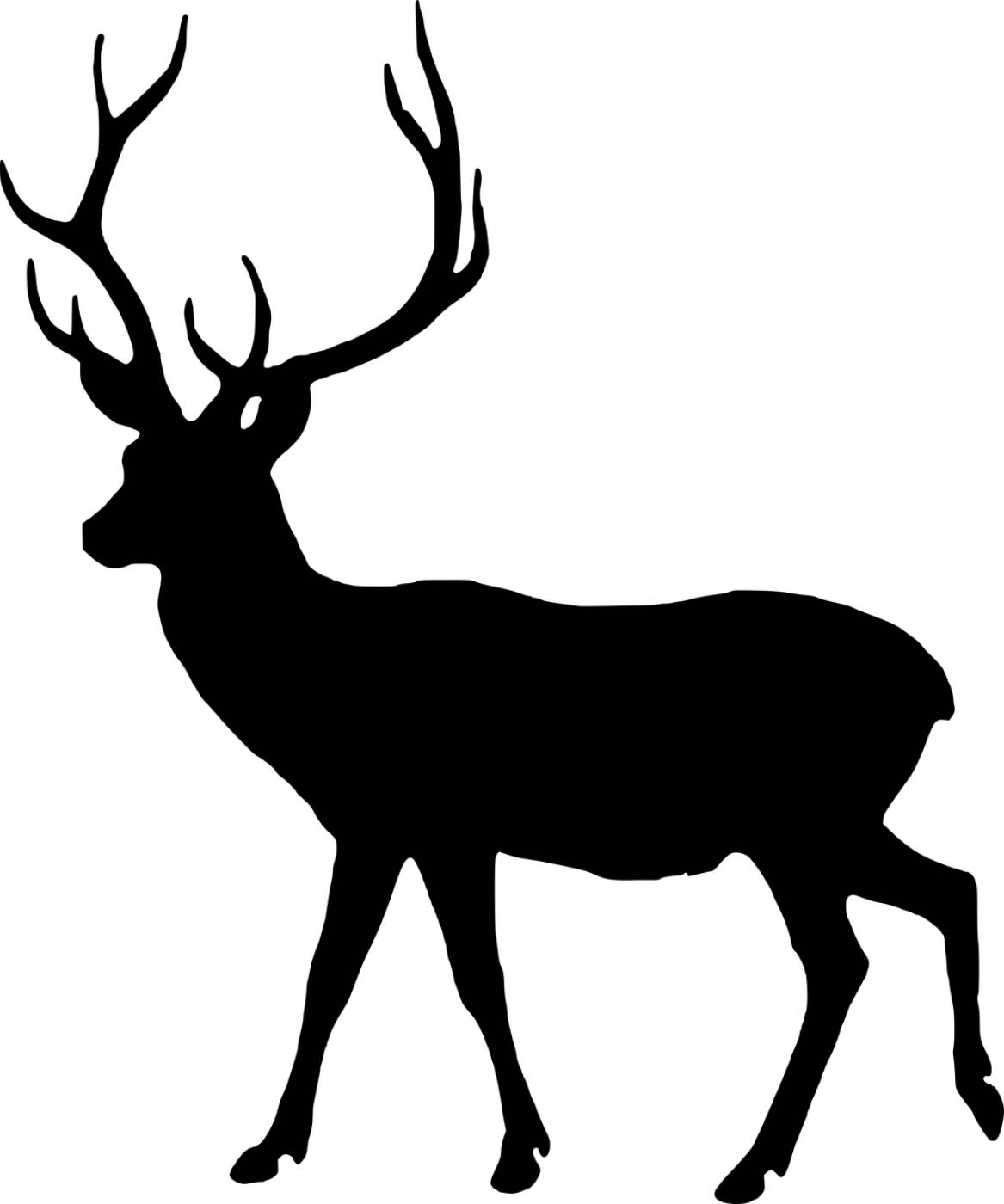 silhouette fallow deer dama dama  svg vector