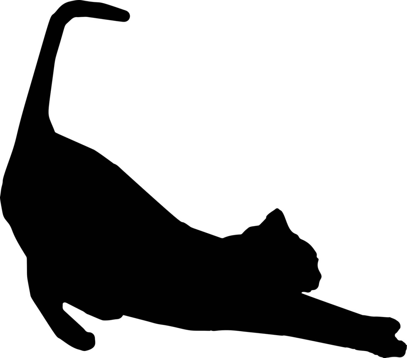 stretching cat feline animal pet  svg vector