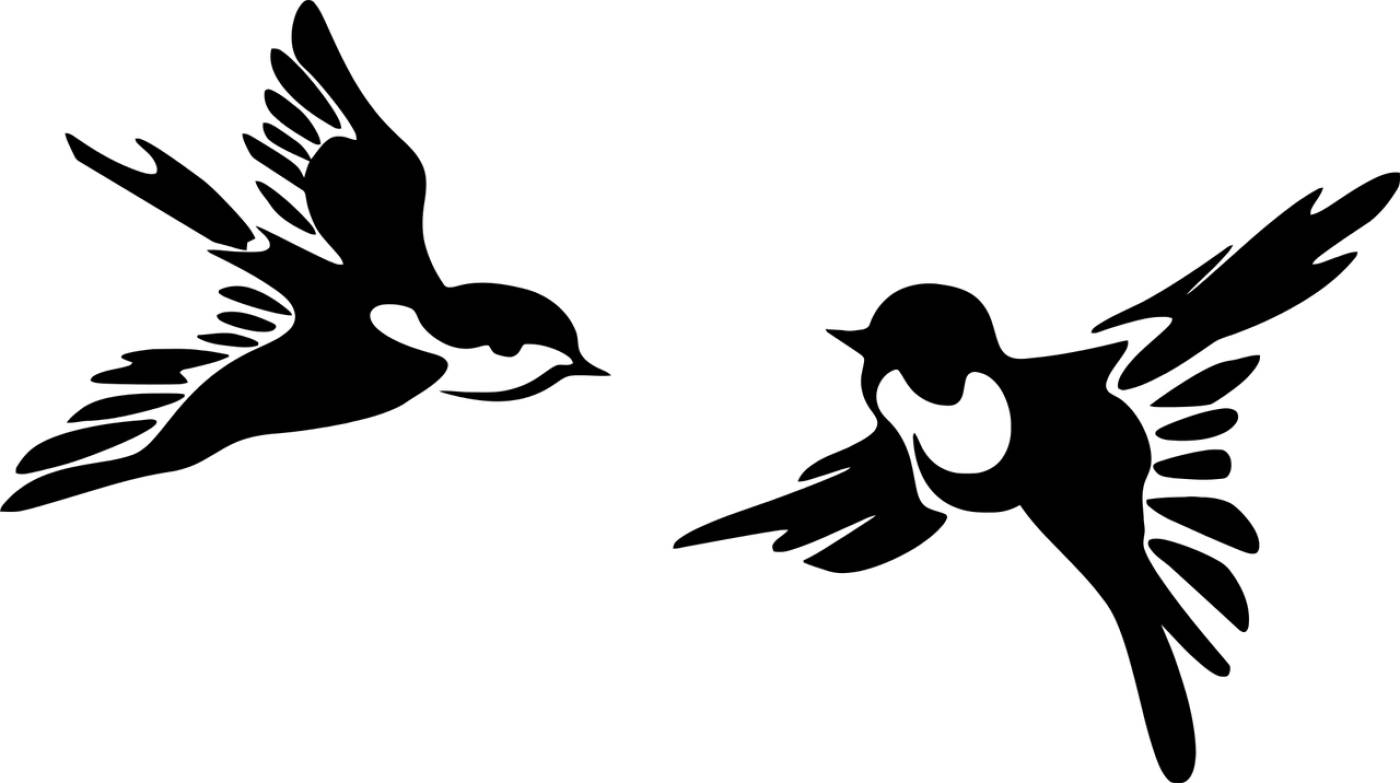 stylized birds flying animal  svg vector