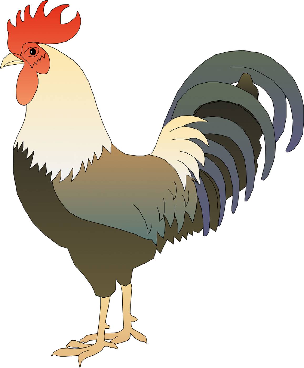animal barnyard bird chicken farm  svg vector