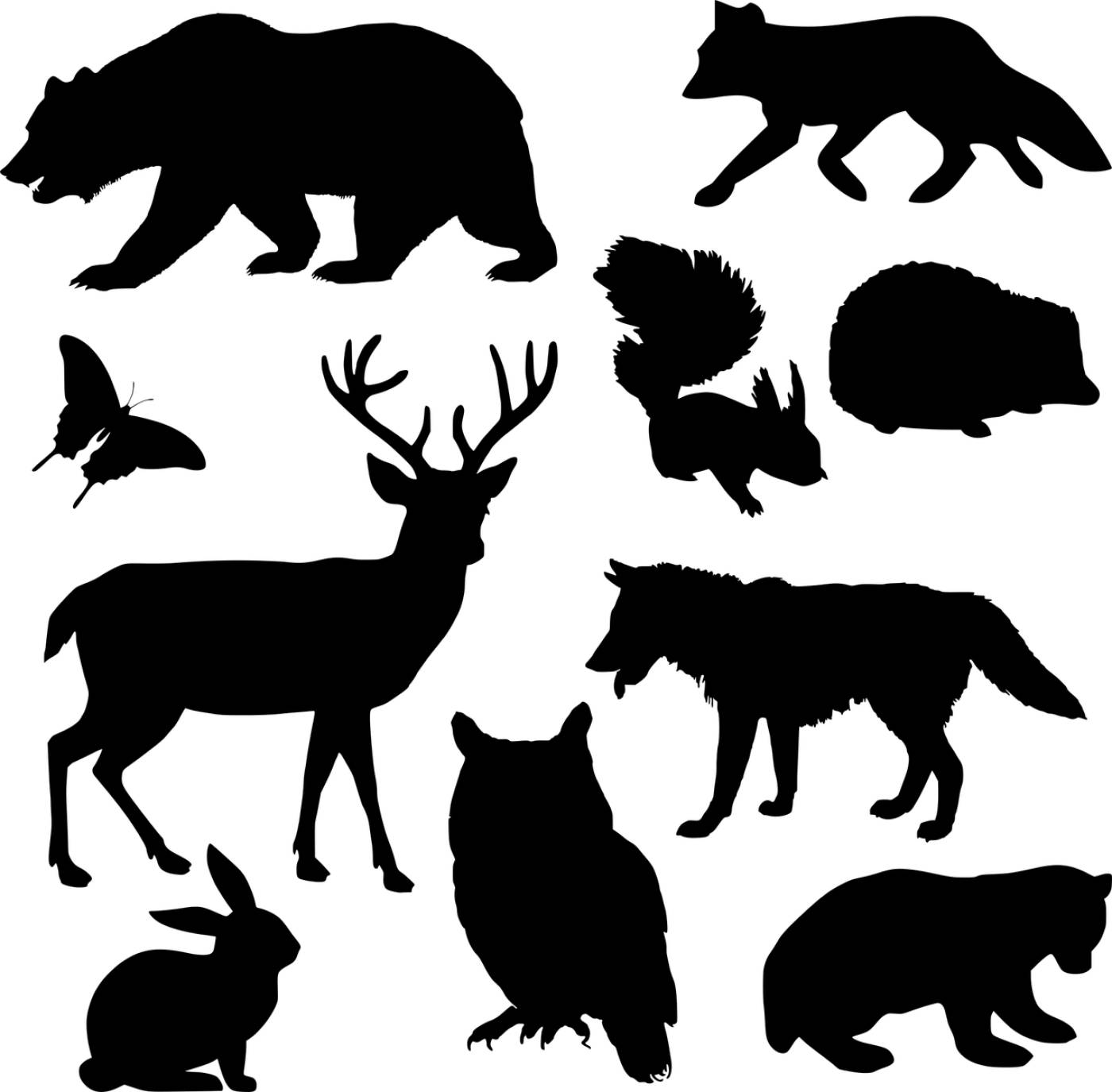 animal bear collection silhouettes  svg vector