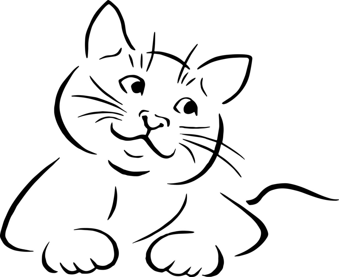 animal cat drawing feline kitten  svg vector
