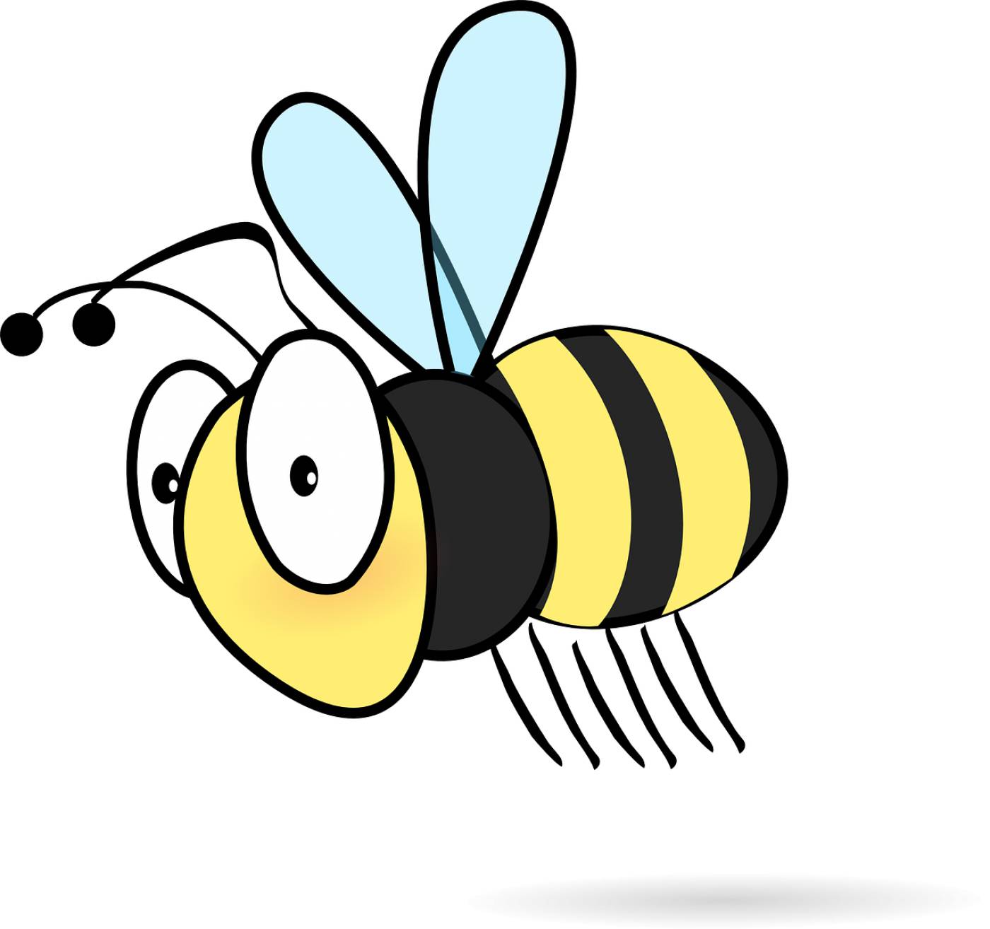 bee insect cartoon honey bee  svg vector