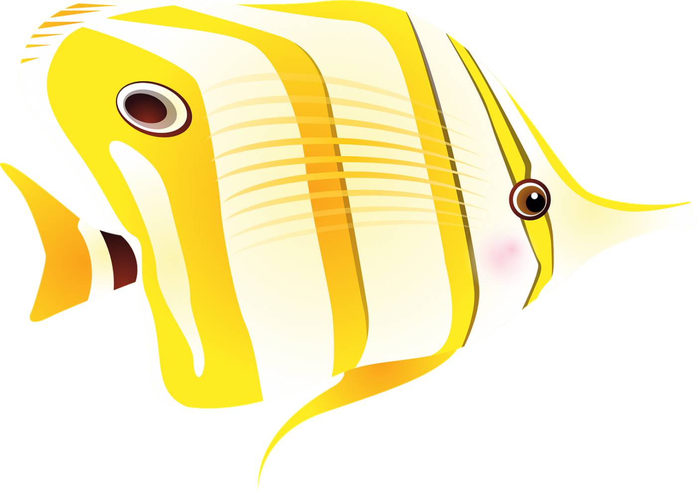 butterfly fish fish tropical fish  svg vector