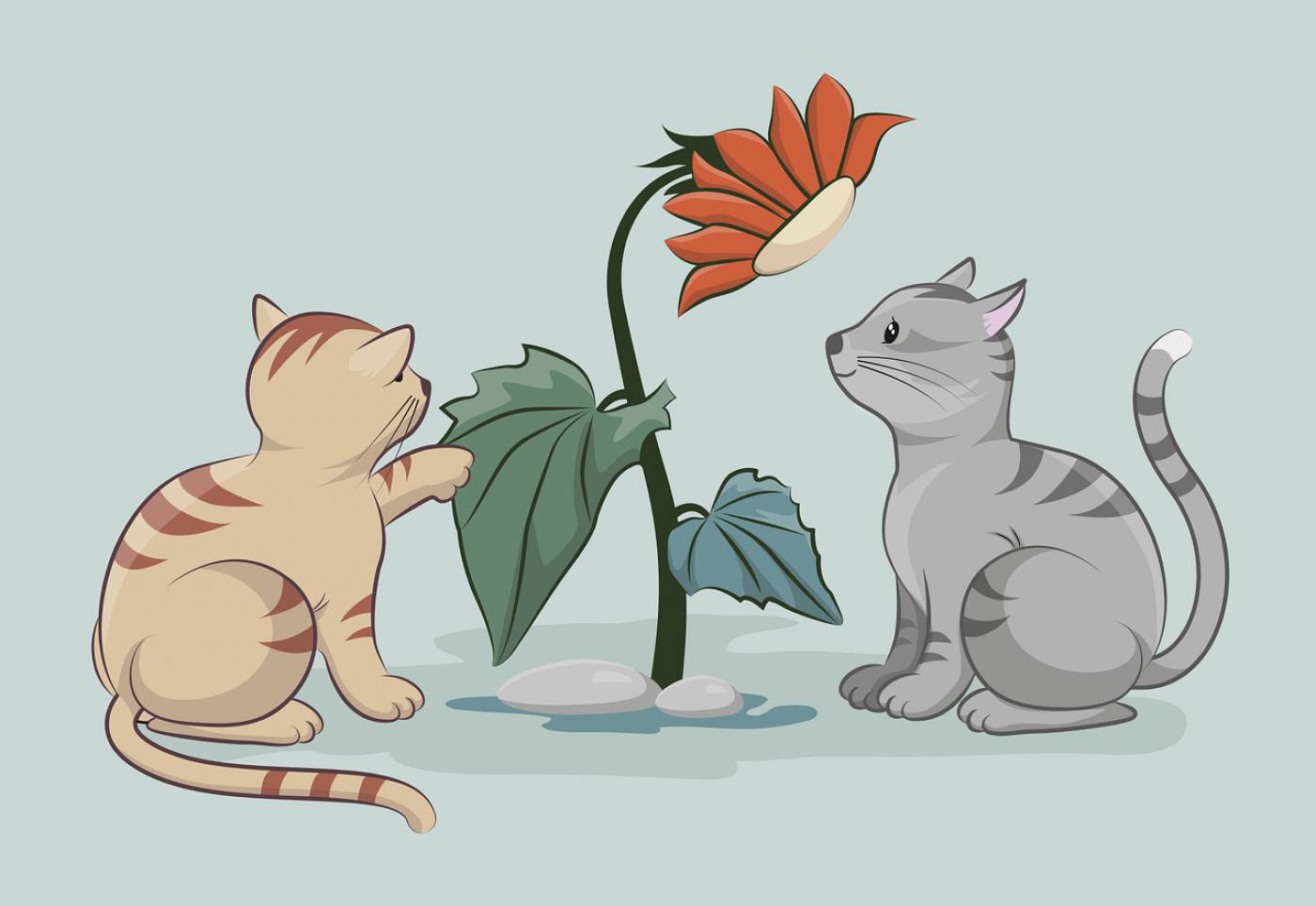 cats pets animals flower domestic  svg vector