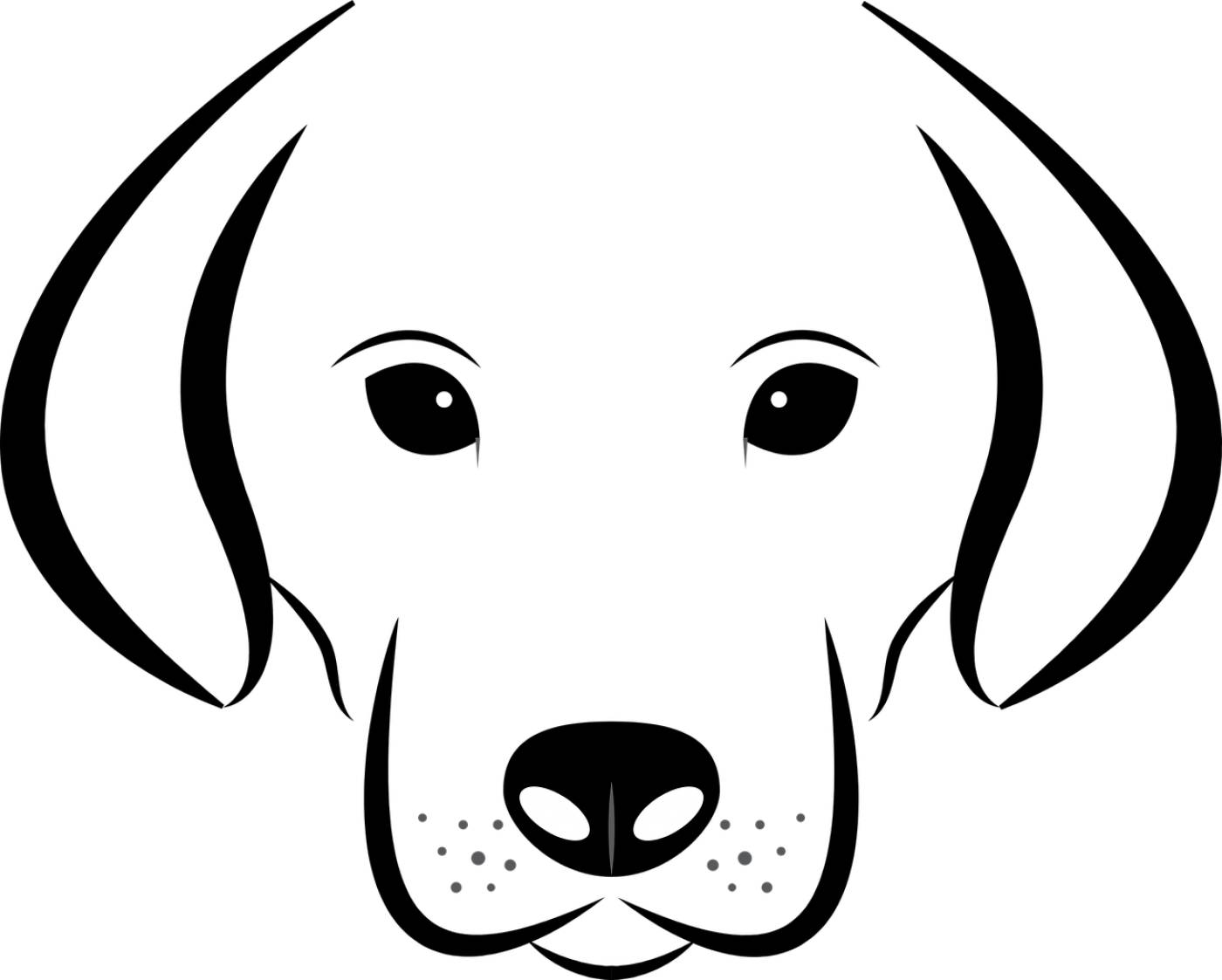 dog head white background labrador  svg vector