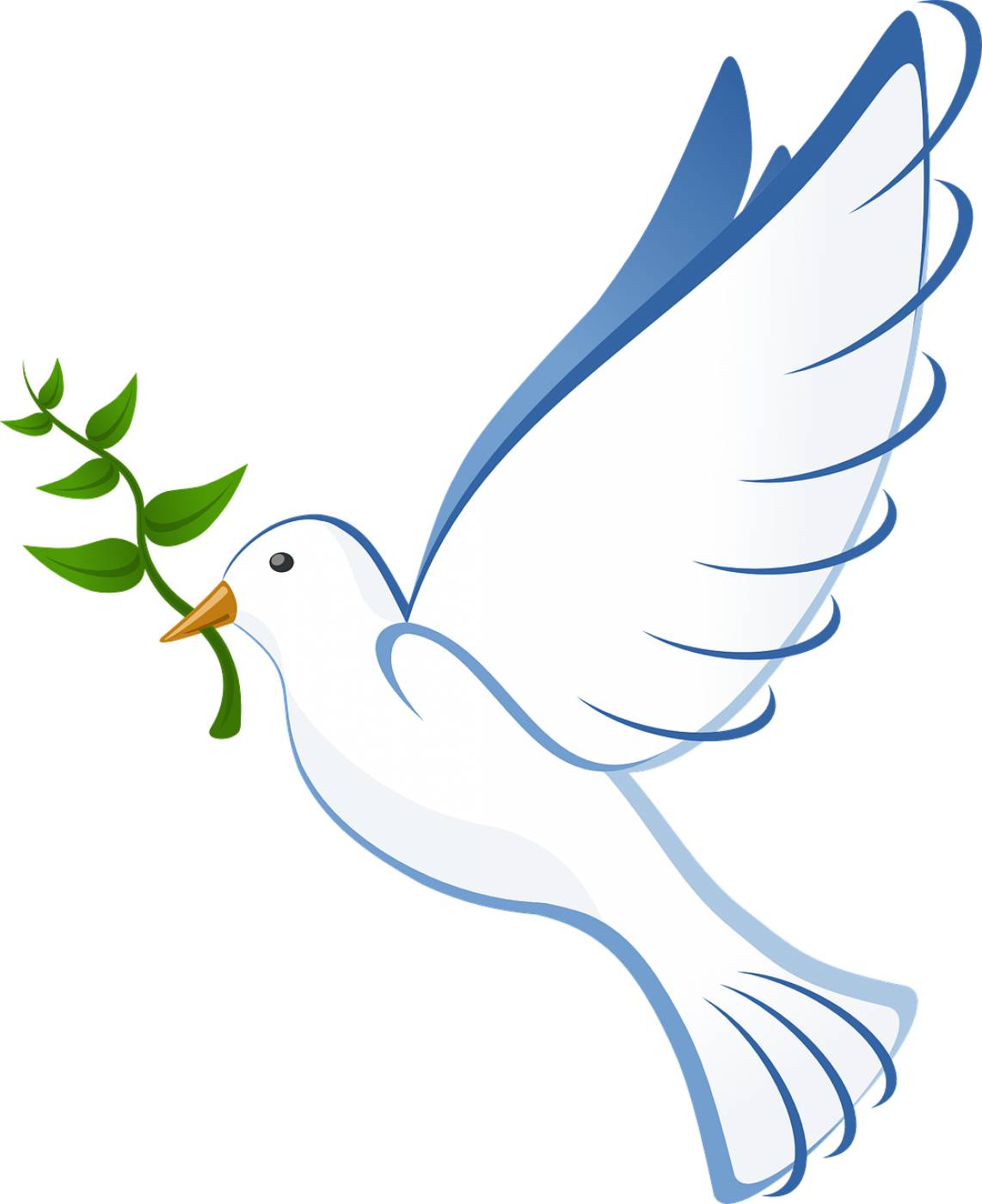 dove peace flying olive branch  svg vector