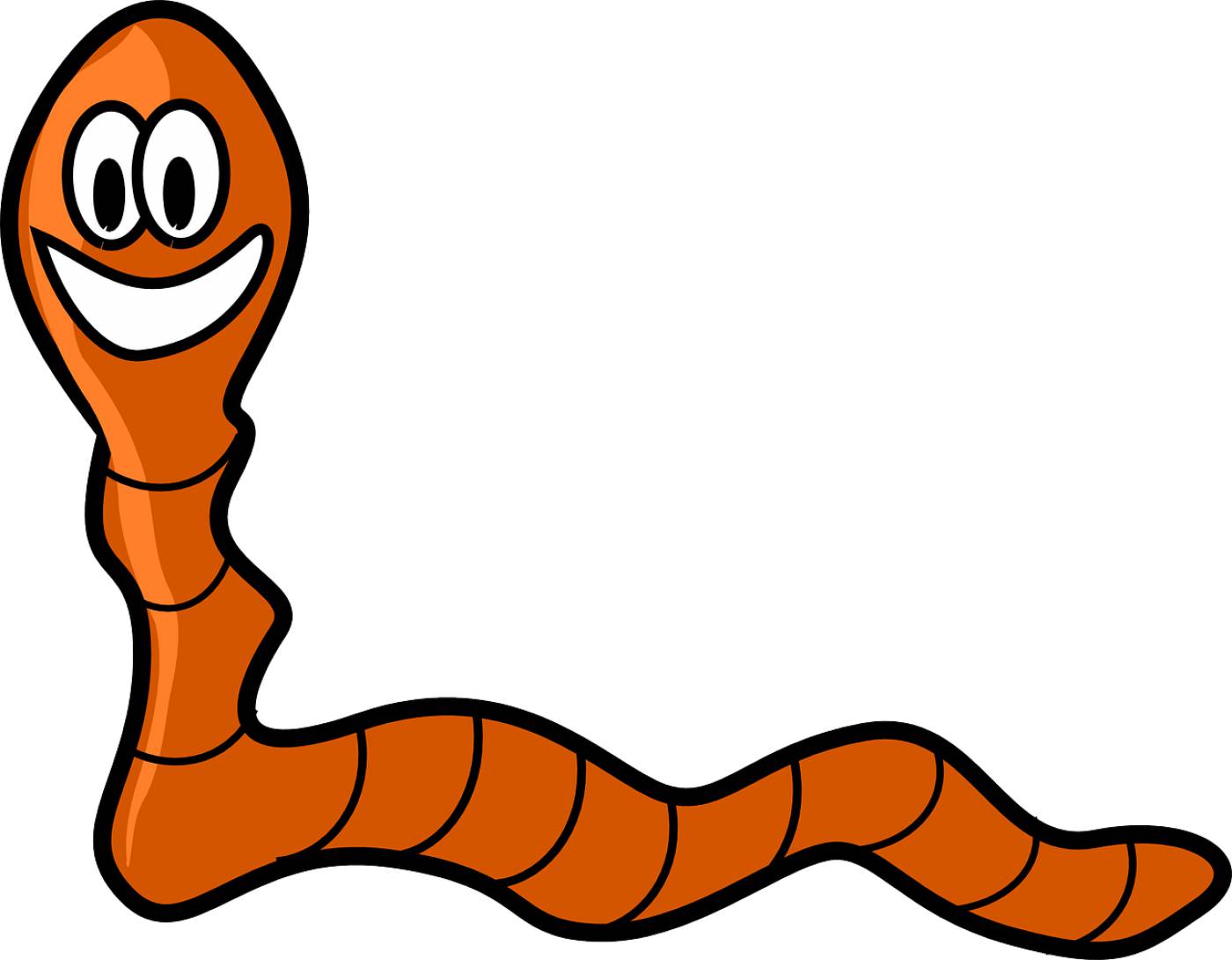 earthworm worm cute happy inchworm  svg vector