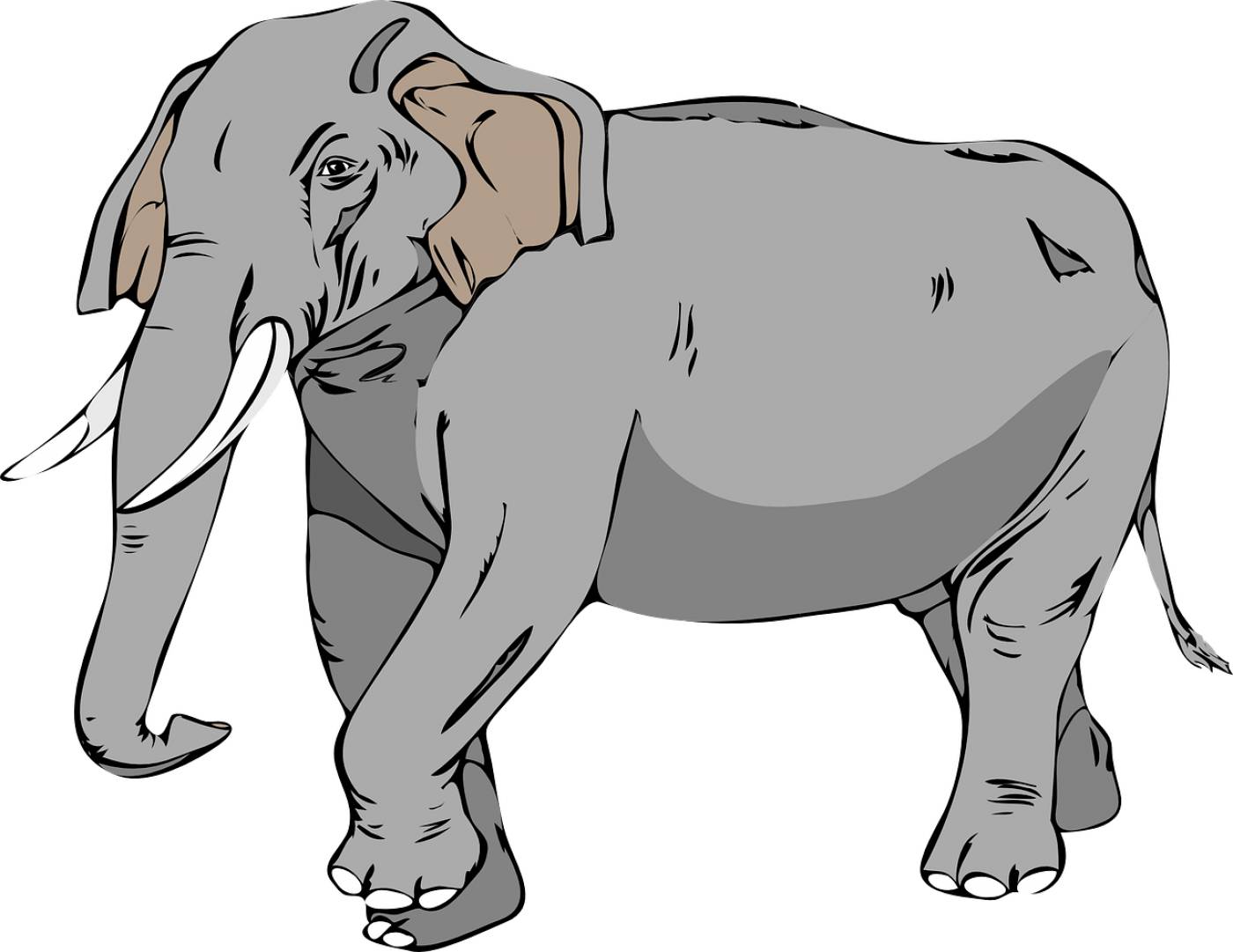 elephant large animal mammal trunk  svg vector