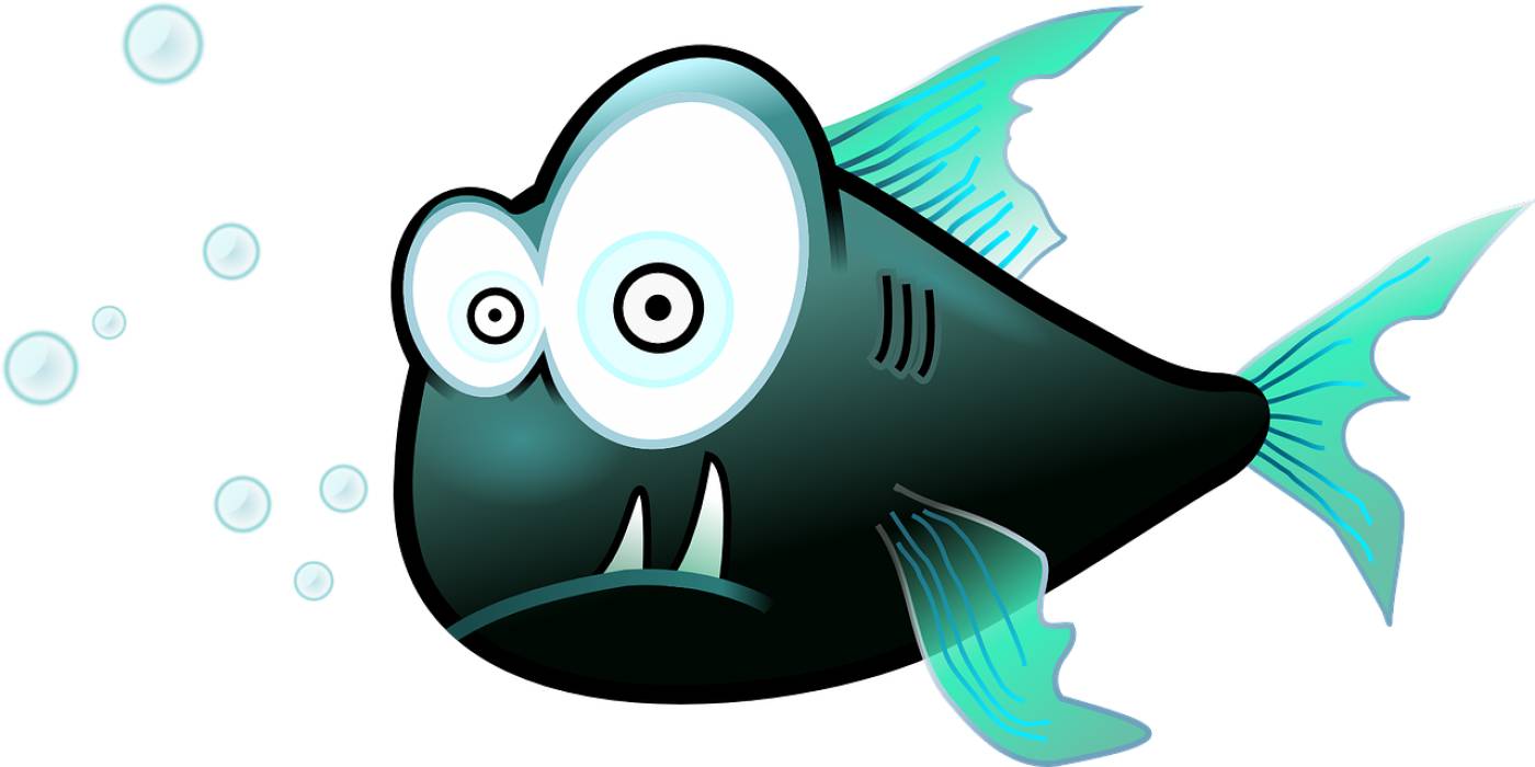 fish piranha cartoon animal  svg vector