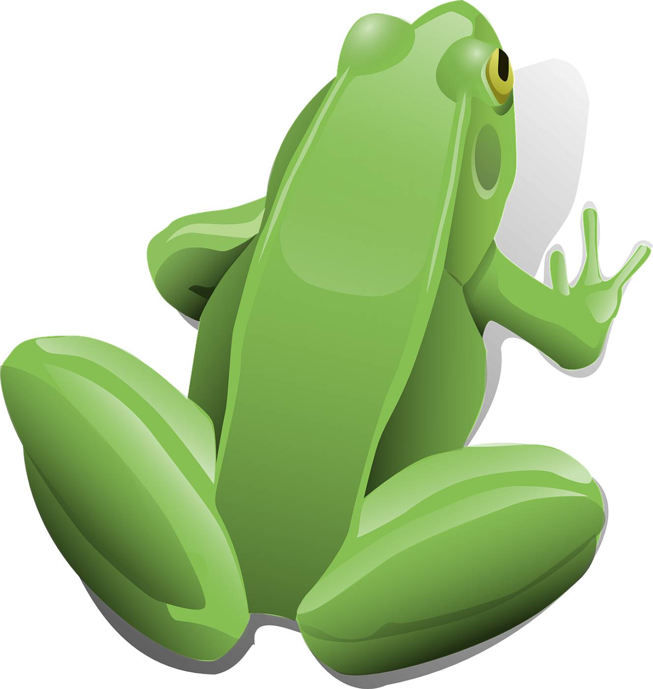 frog animal amphibian green frog  svg vector