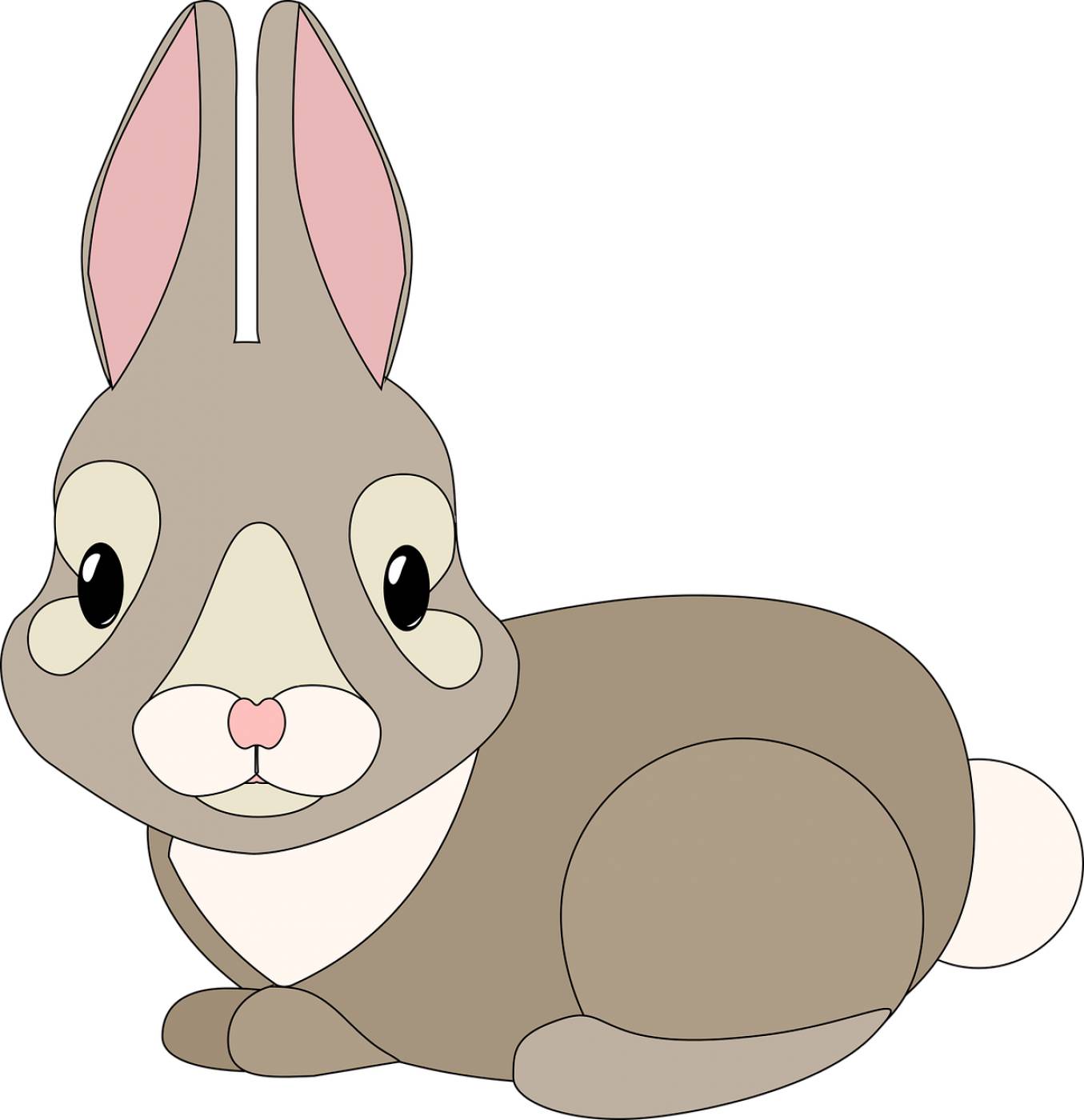 graphic bunny rebbit cute cuddly  svg vector