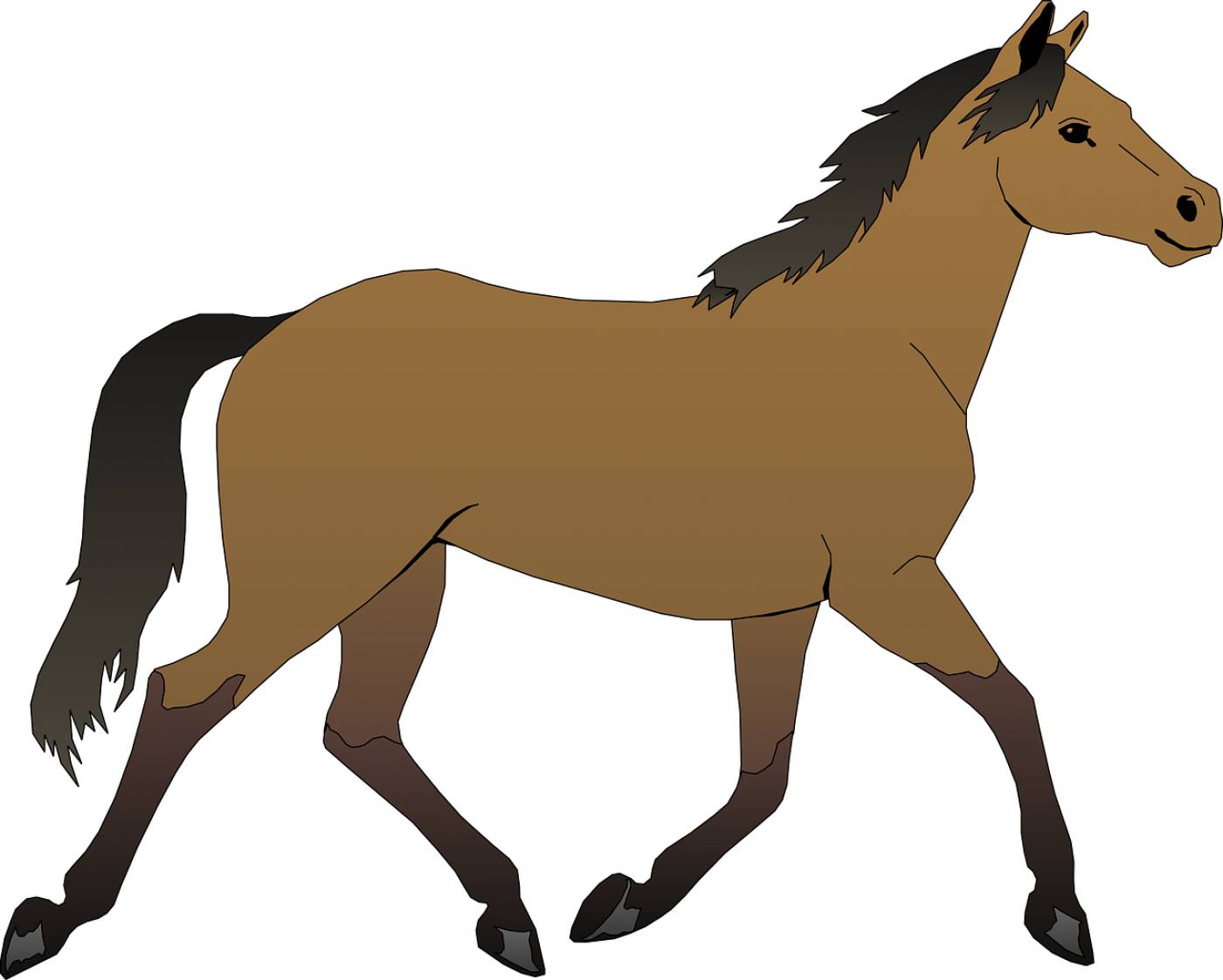 horse brown stallion purebred mare  svg vector