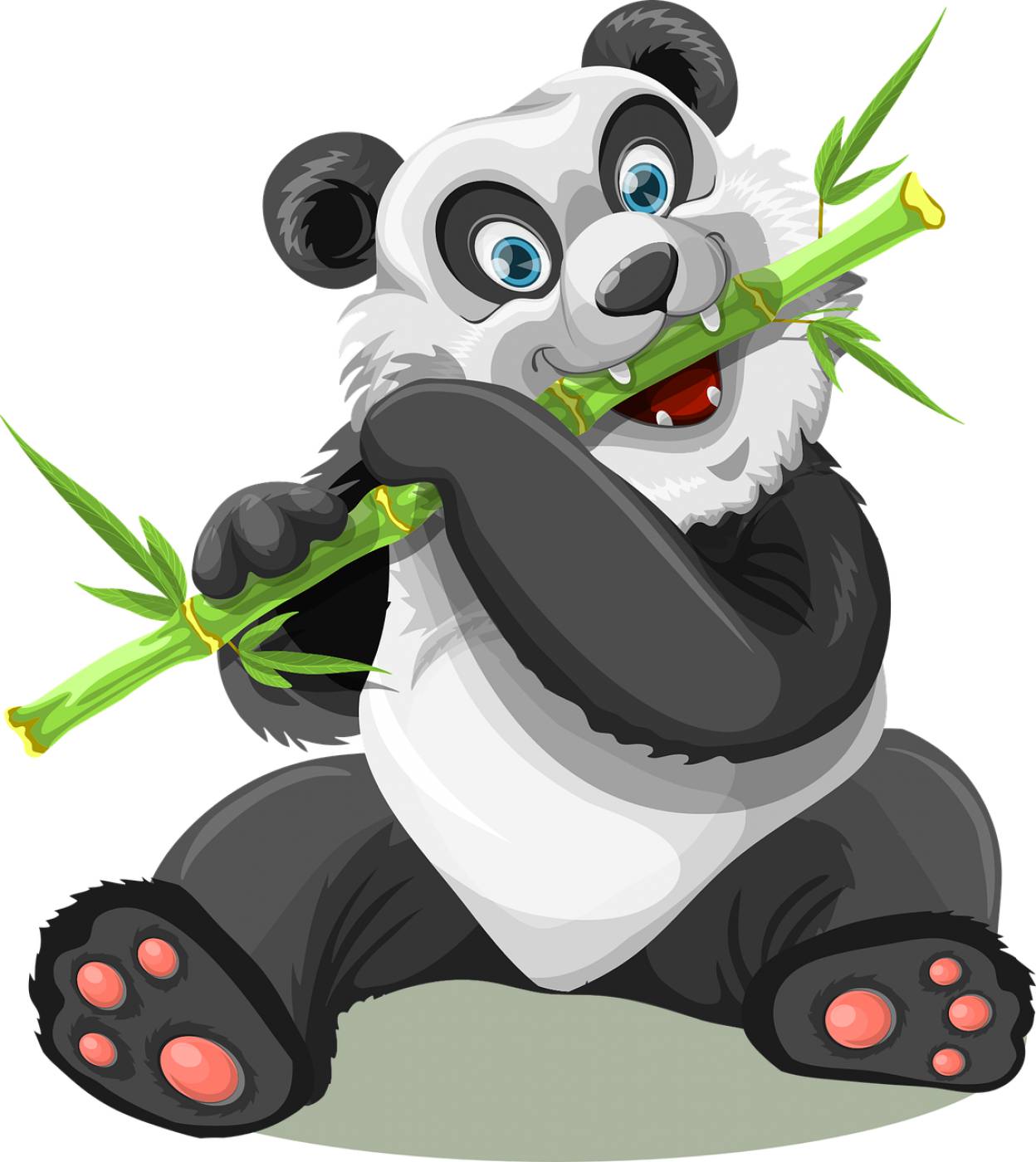 panda animal bamboo wild eating  svg vector