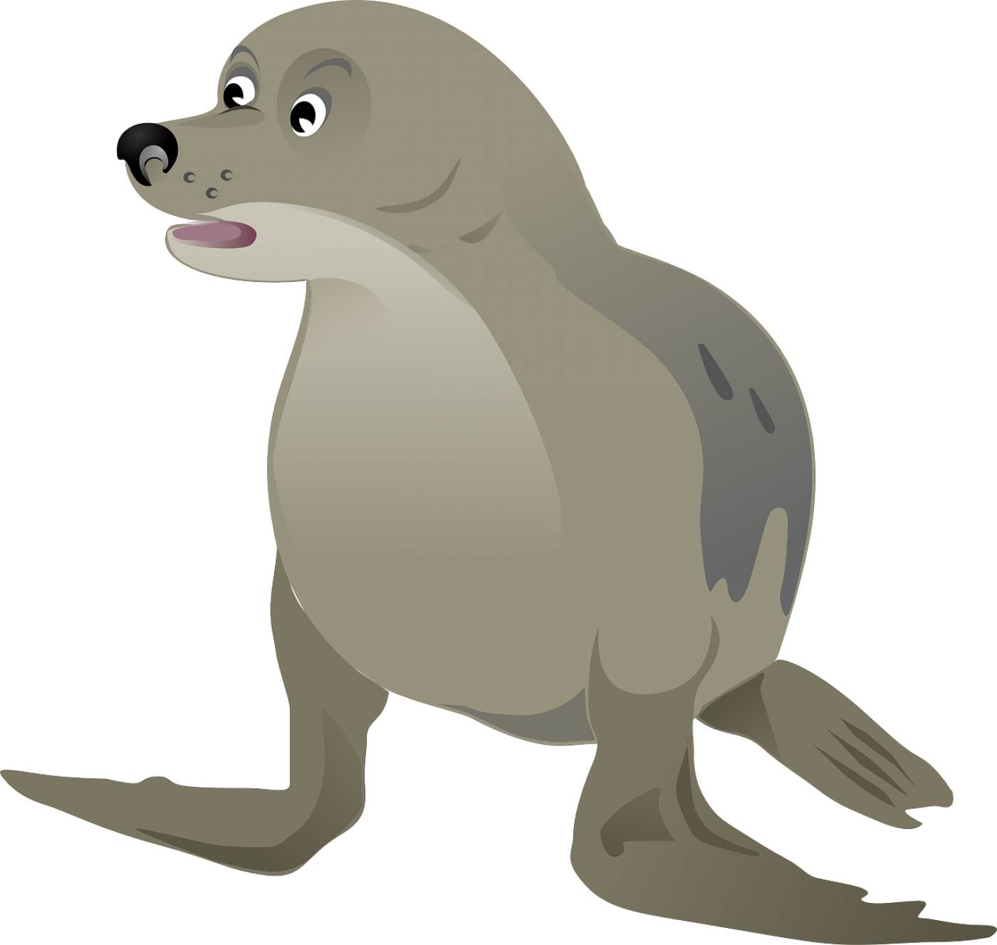 seal animal wildlife mammal  svg vector