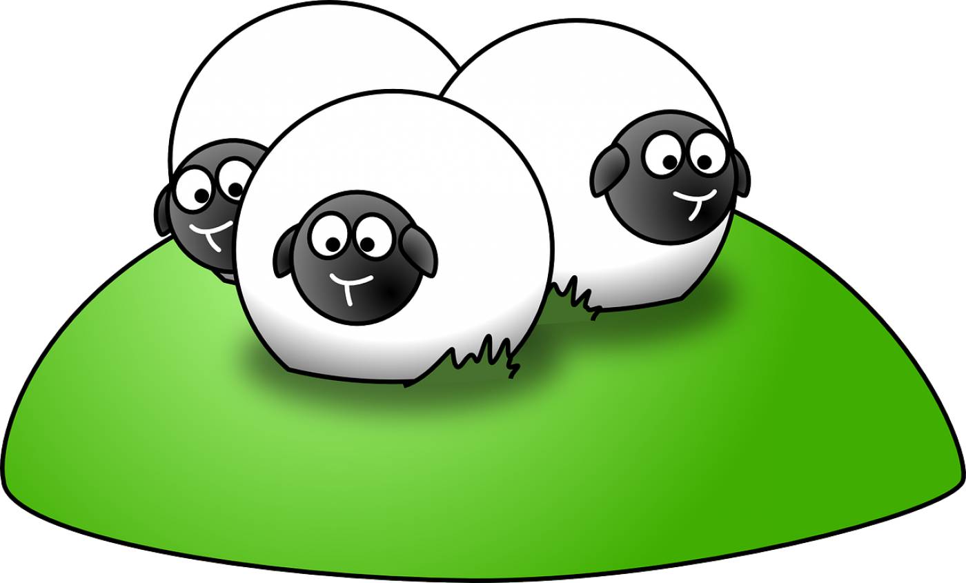 sheep animals livestock group  svg vector