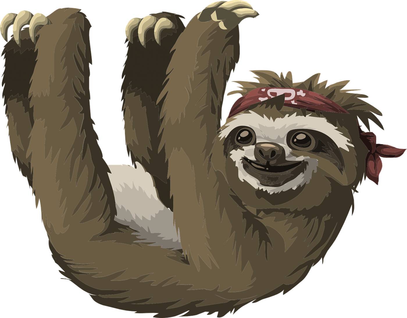 sloth animal mammal awake haning  svg vector
