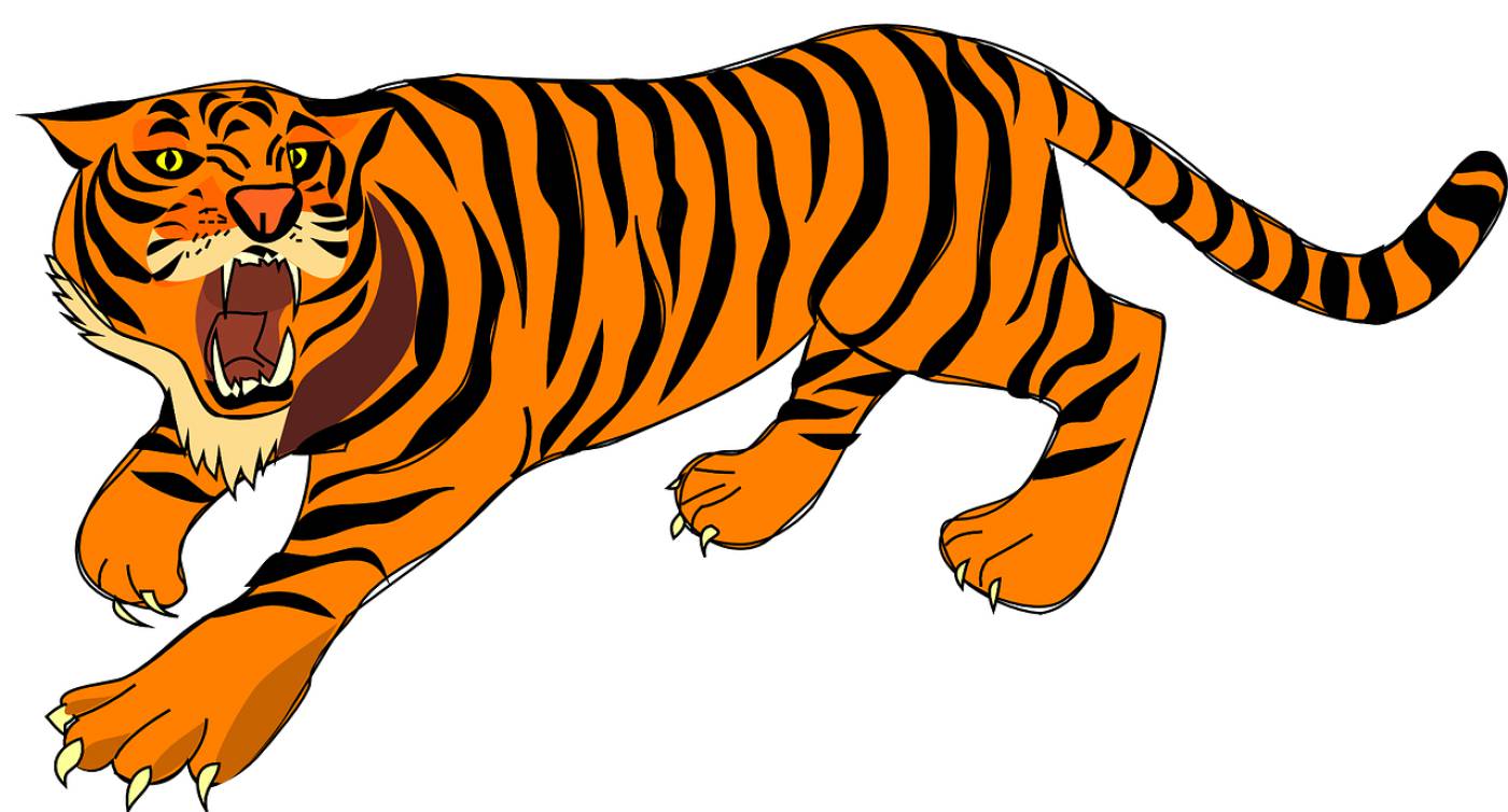 tiger animal angry roar roaring  svg vector