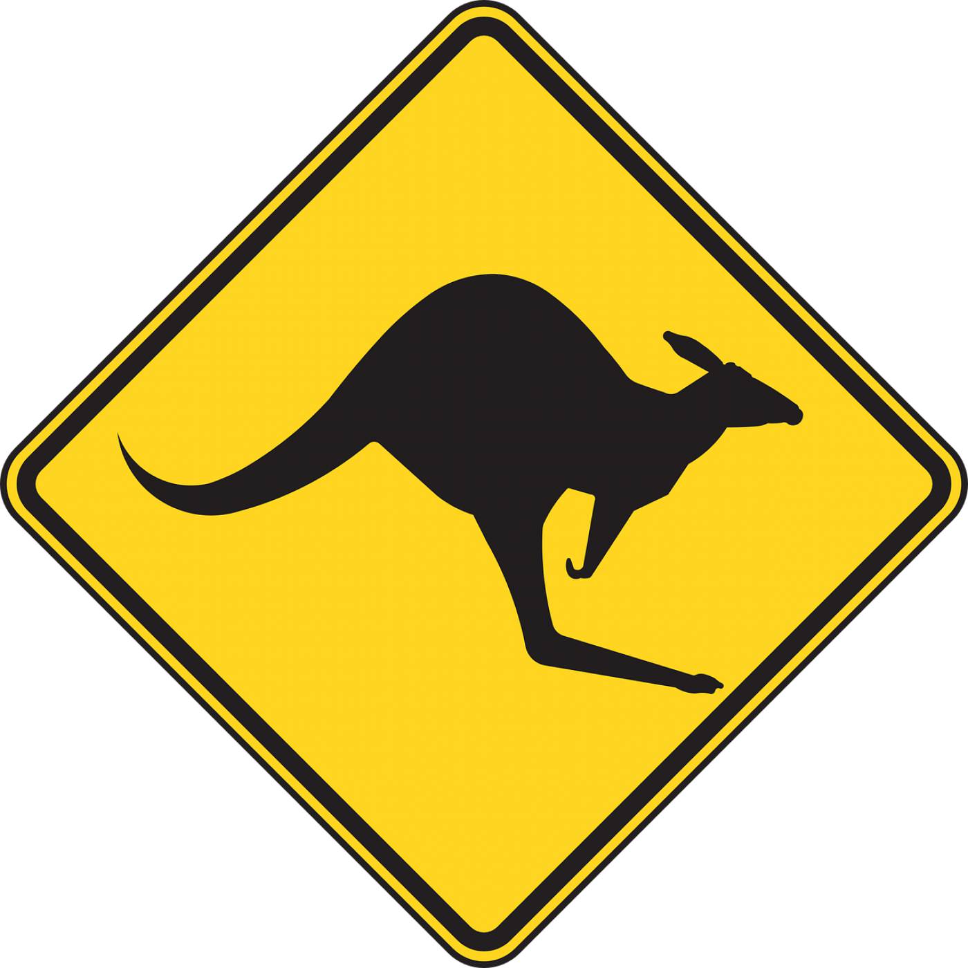 warning kangaroo roadsign caution  svg vector