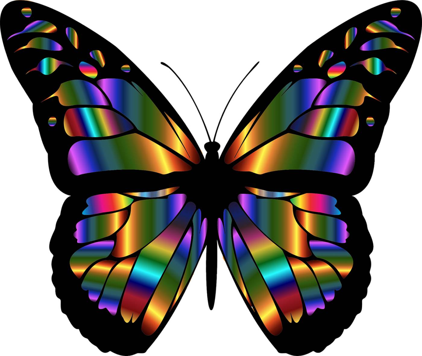 abstract animal art butterfly  svg vector