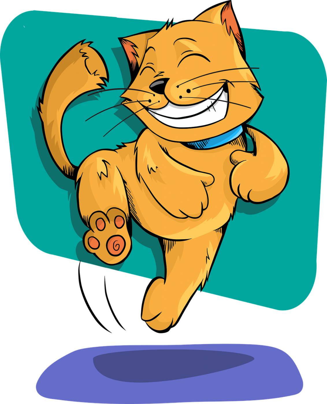 cat animal funny cute adorable  svg vector