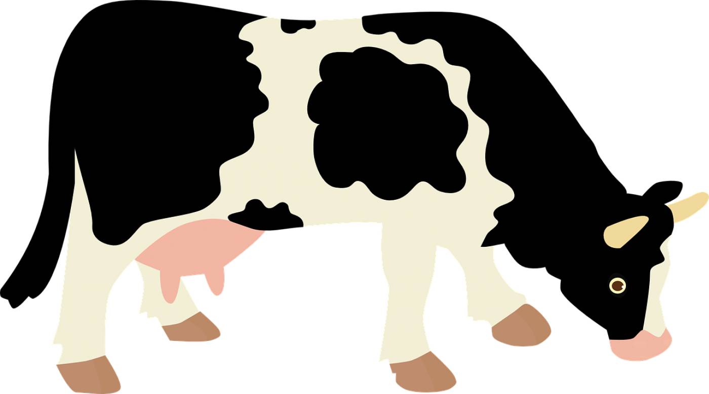 cow milk tour economy animal  svg vector