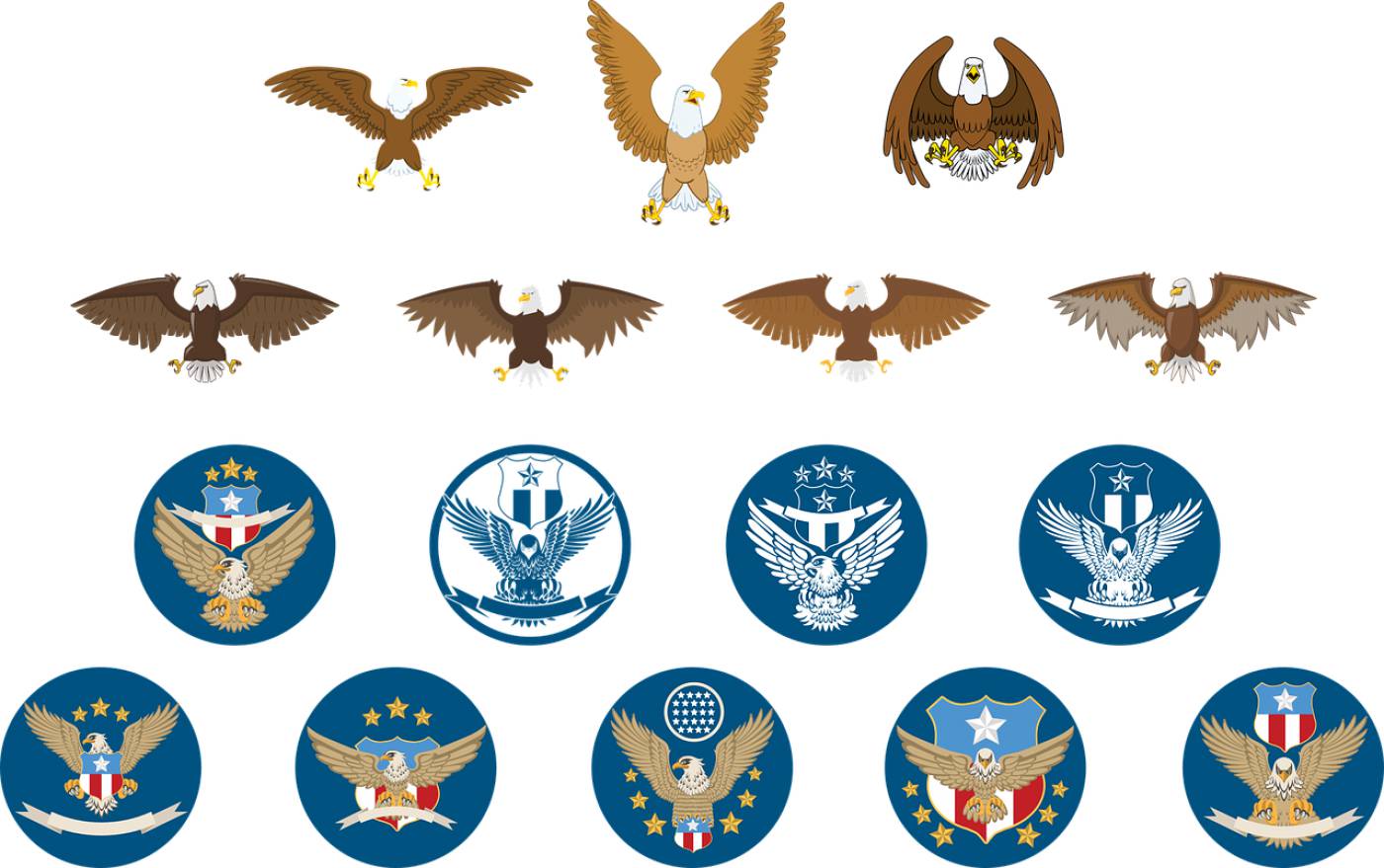 eagle logo icon animal design  svg vector