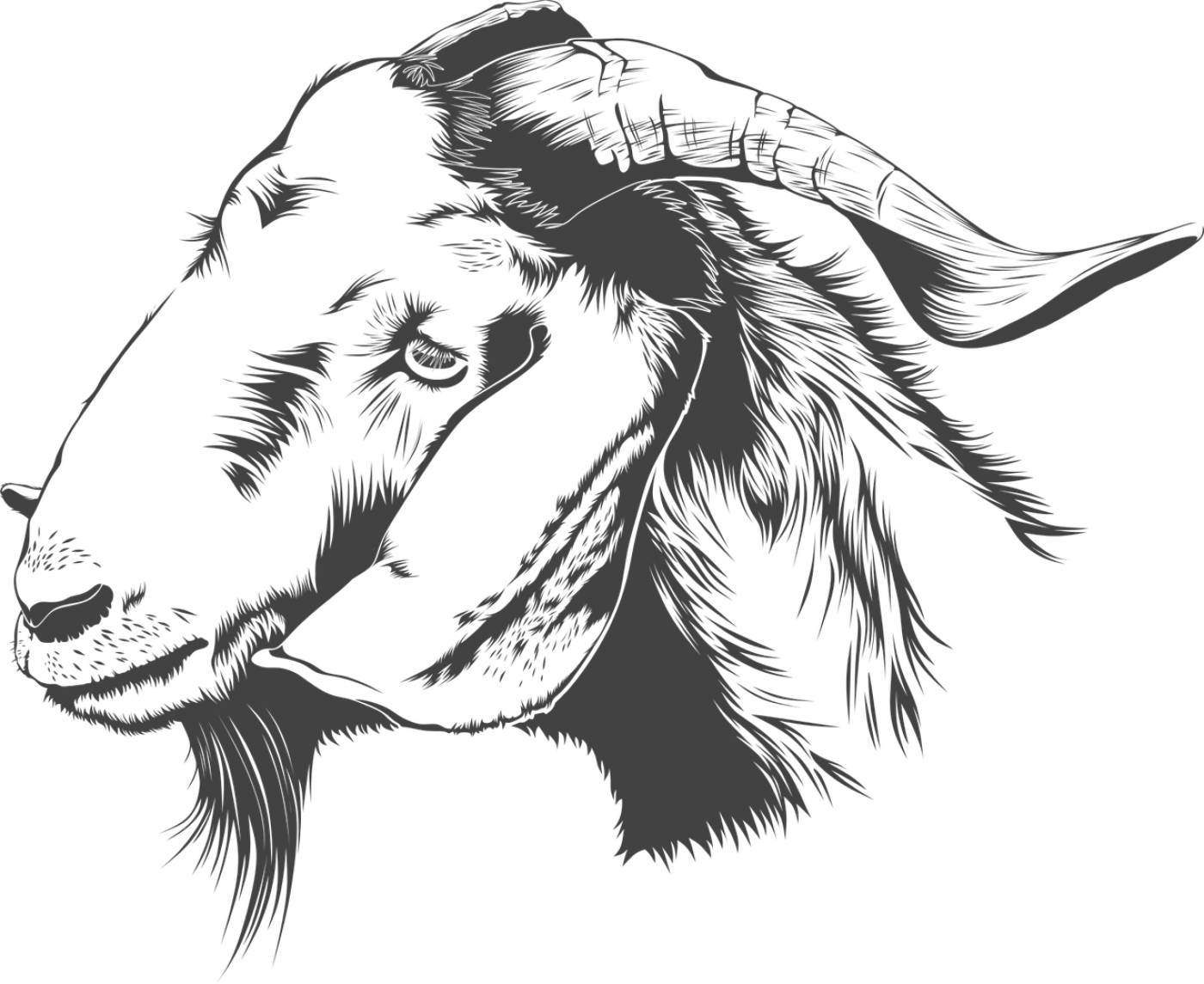 goat animal farm vector goat goat  svg vector