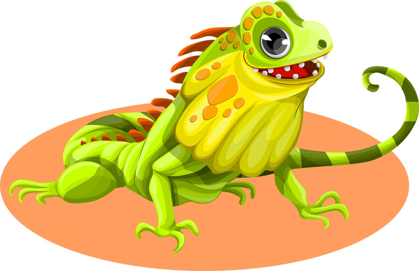 iguana animal lizard green happy  svg vector