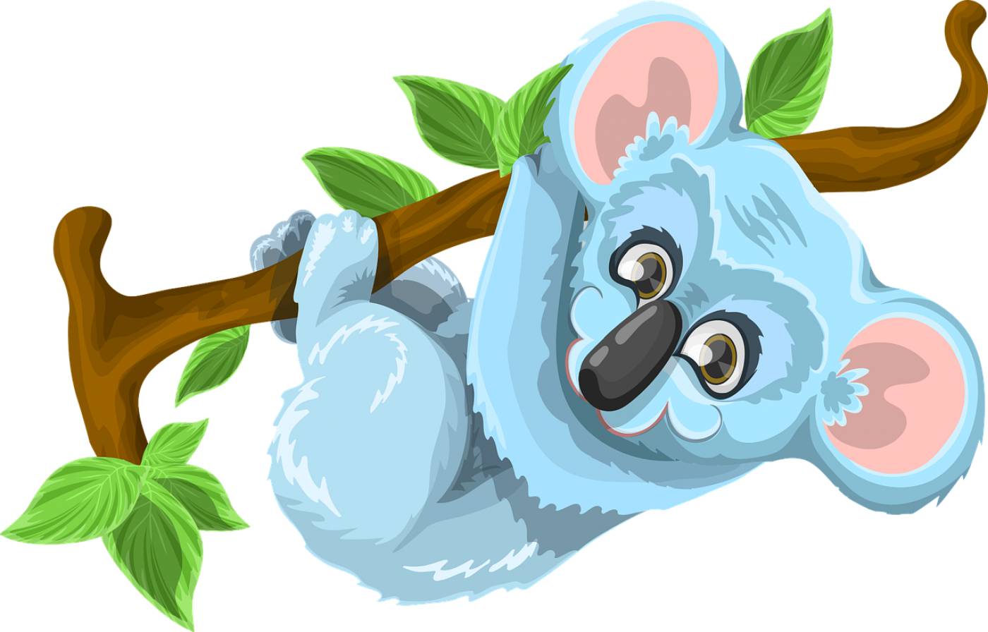 koala animal cute tree stick leaf  svg vector