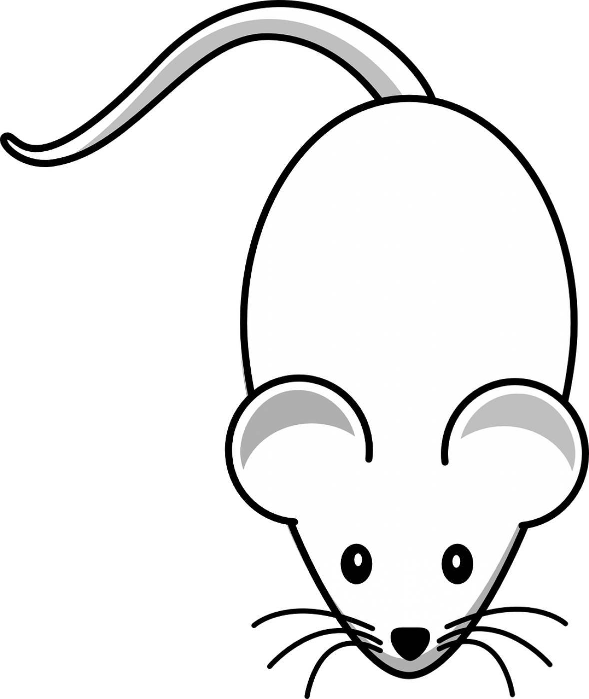mouse rodent animal mammal rat  svg vector