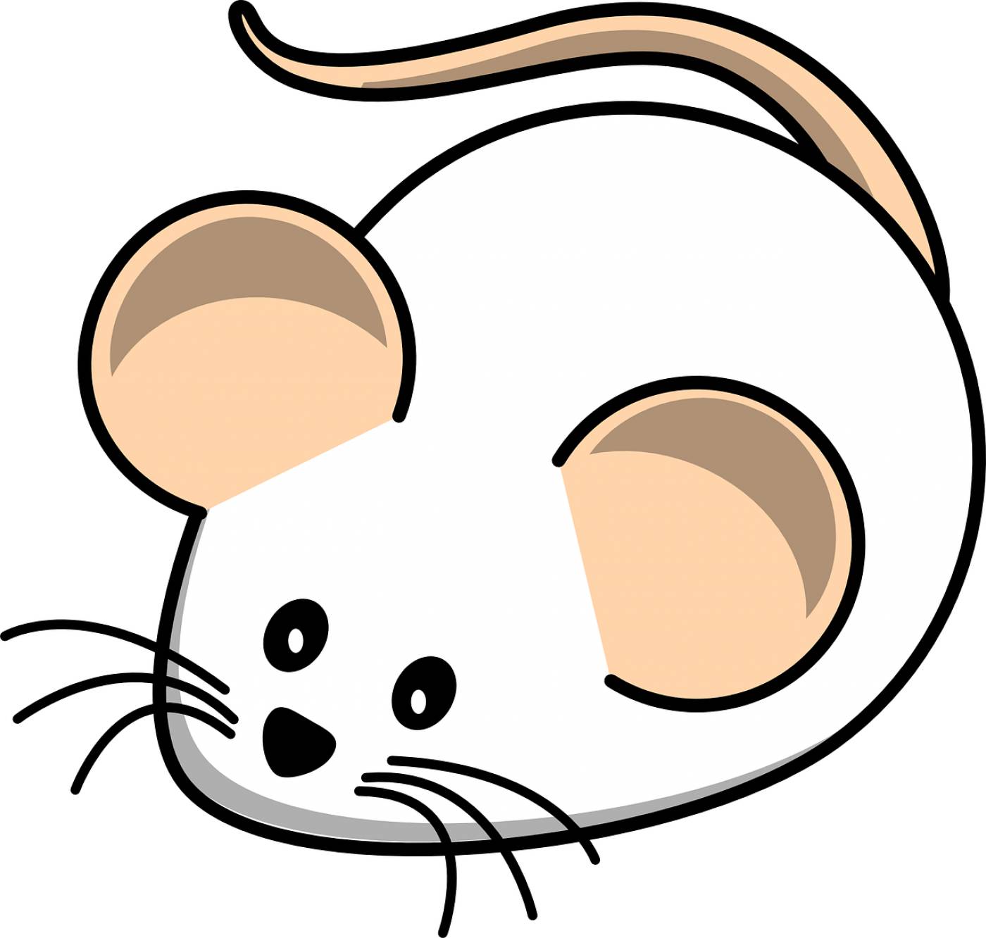 mouse white mouse field animal rat  svg vector