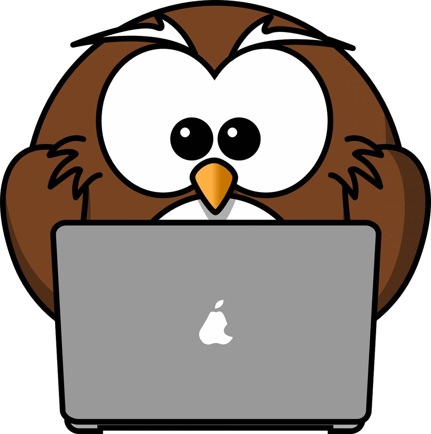 owl animal bird computer funny  svg vector