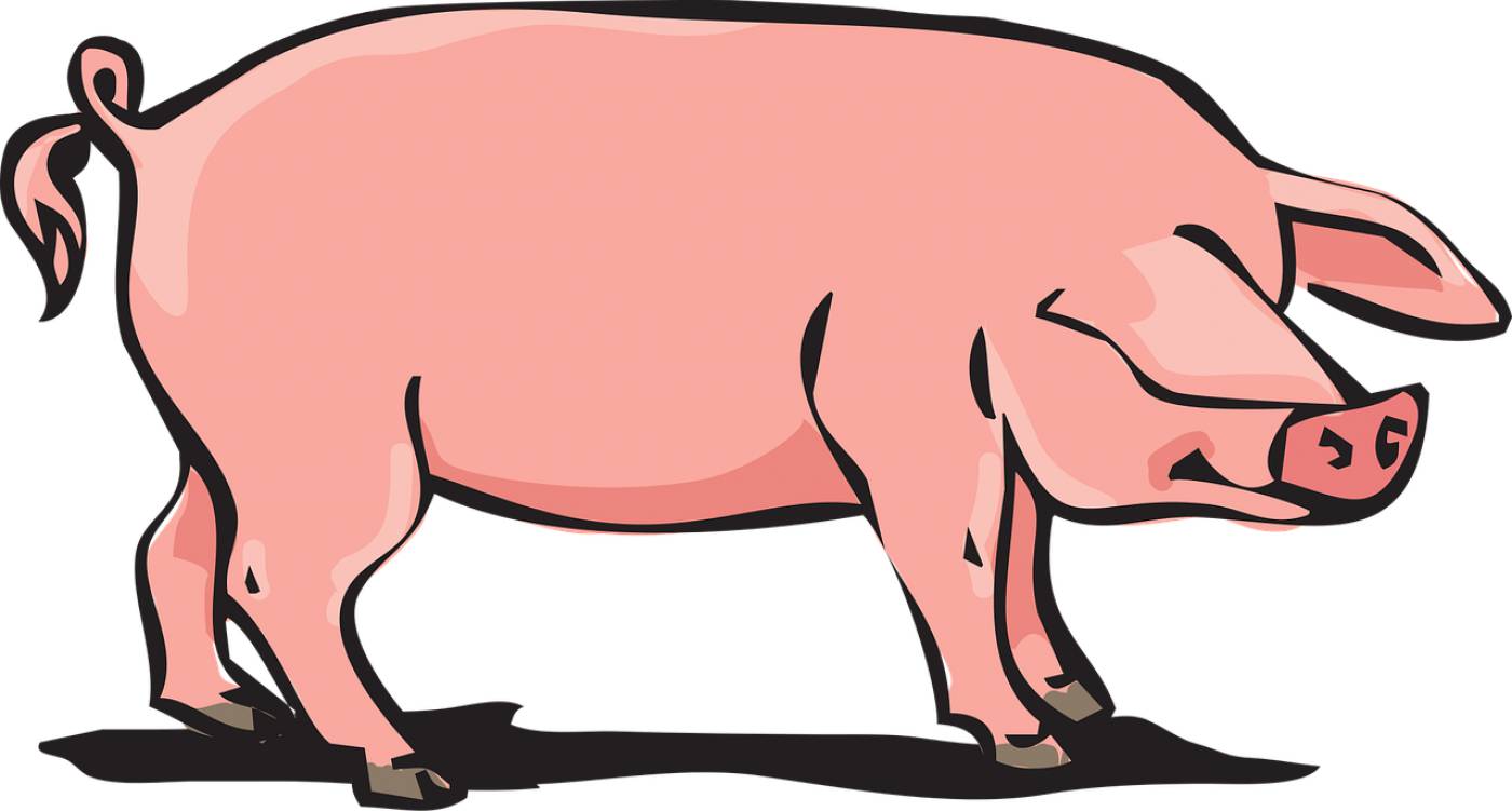pork farm animal pig pig pig pig  svg vector
