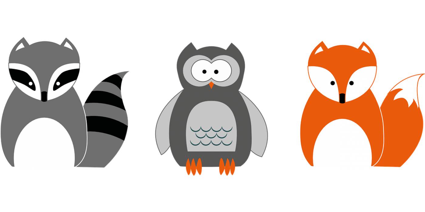 raccoon owl fox application  svg vector