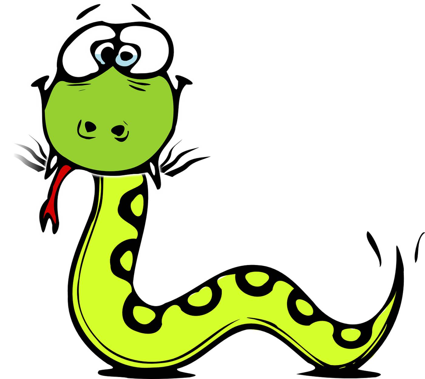 snake python serpent green reptile  svg vector
