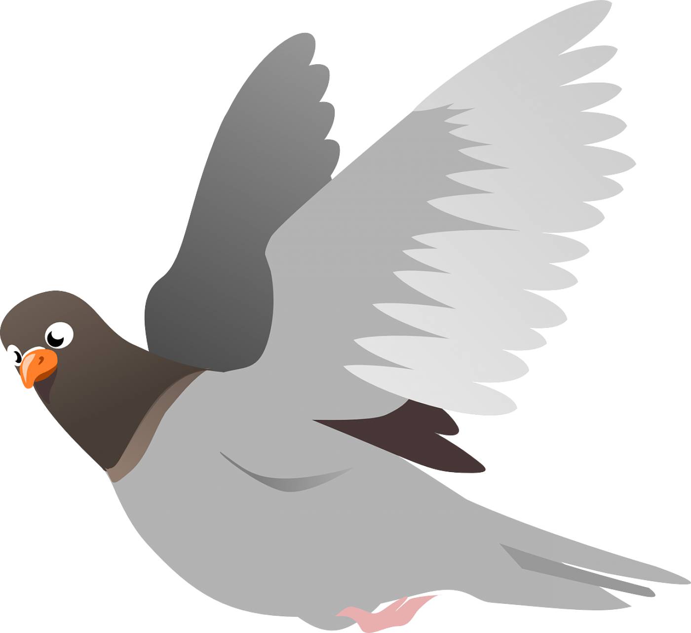 squab pigeon animal bird flight  svg vector