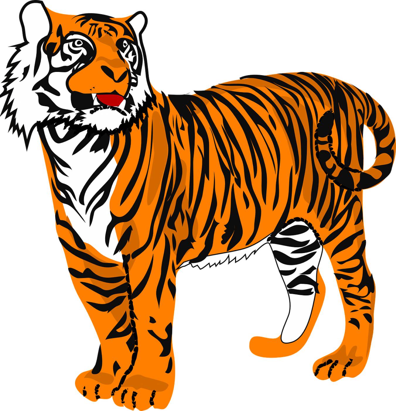 tiger cat animal danger wildlife  svg vector