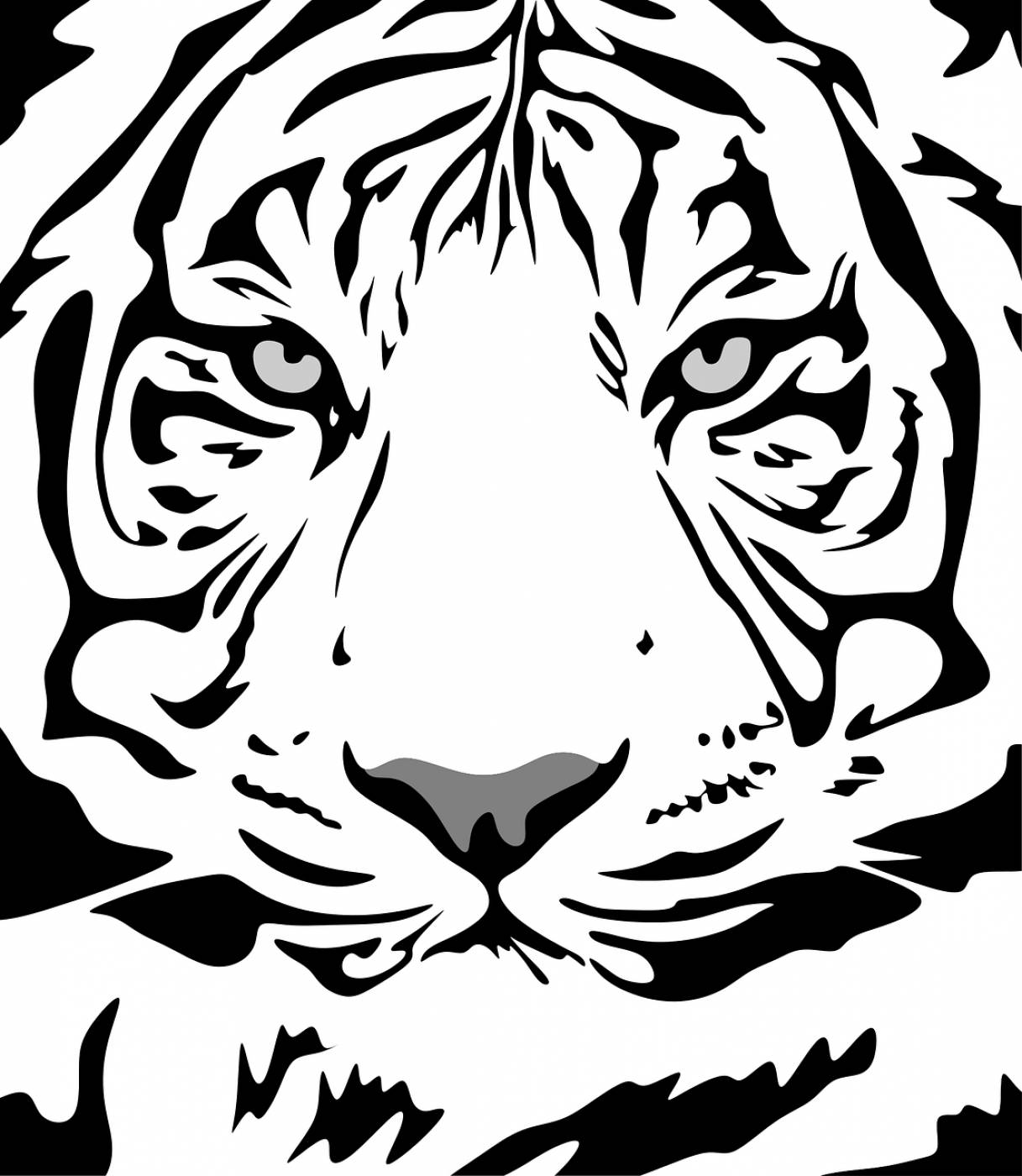 tiger pattern animal design flat  svg vector