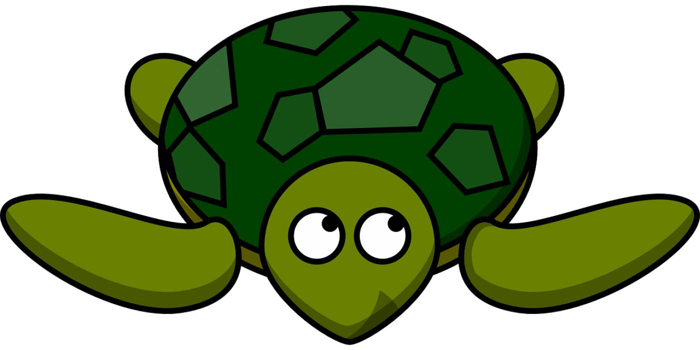 turtle animal tortoise wildlife  svg vector