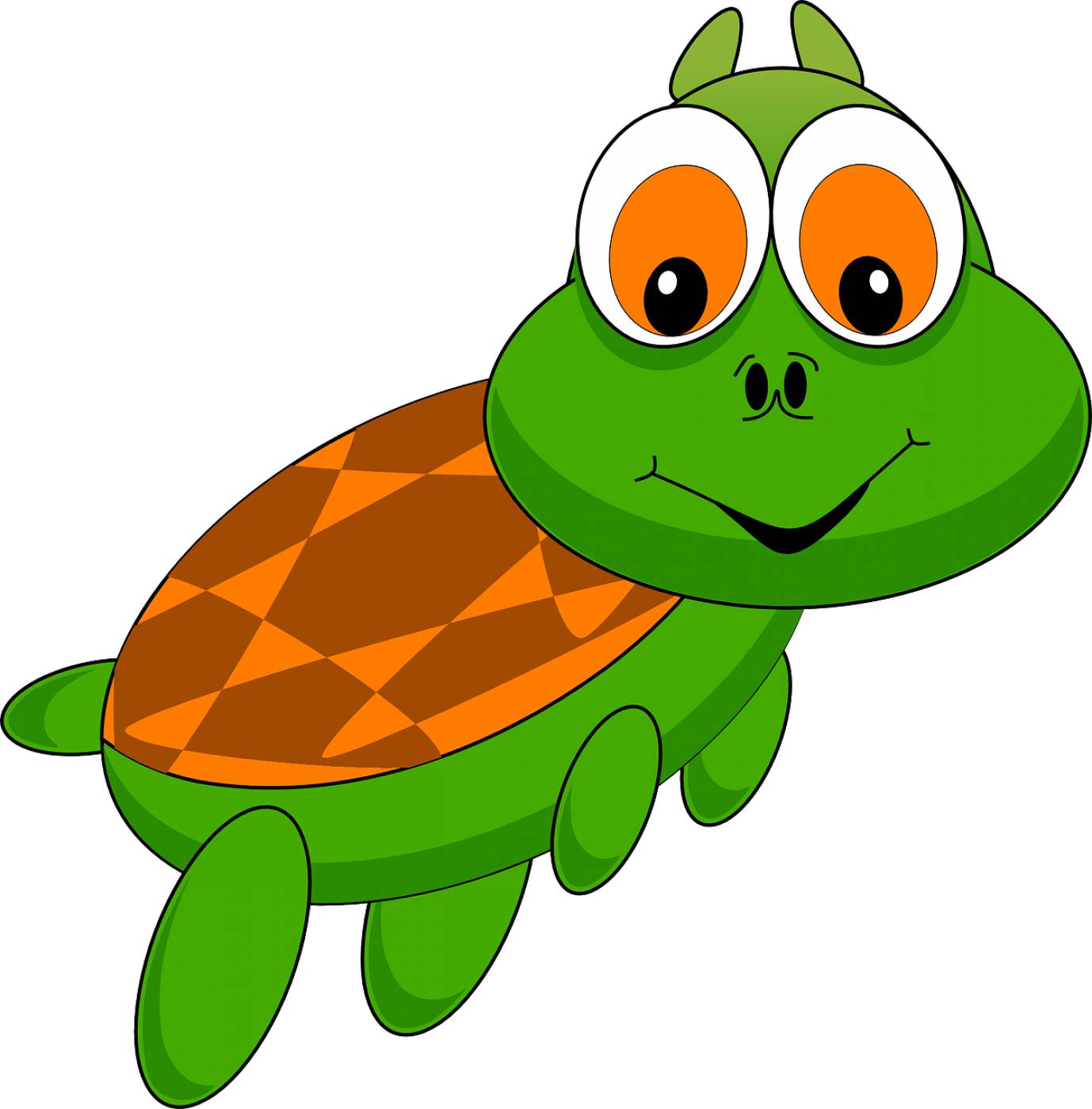 turtle tortoise animal cartoon zoo  svg vector