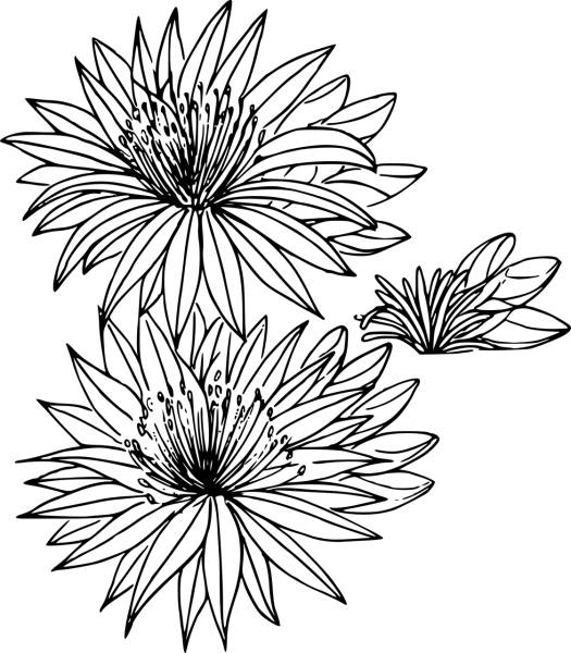 floral flower nature outline art  svg vector cut file