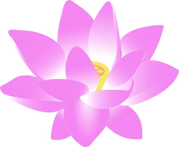 flower water lily lily lotus  svg vector cut file