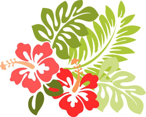 hawaii hibiscus flora floral  svg vector cut file