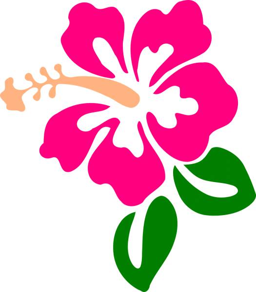 hibiscus flower tropic bloom  svg vector cut file
