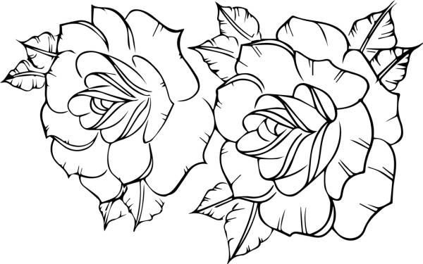 rose drawing roses design flowers  svg vector cut file
