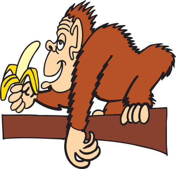 ape branch banana animal peeled  svg vector cut file