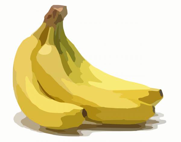 banana food fruit plant peel  svg vector cut file