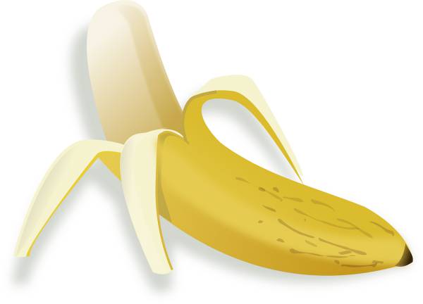 banana food fruit vegetable sweet  svg vector cut file
